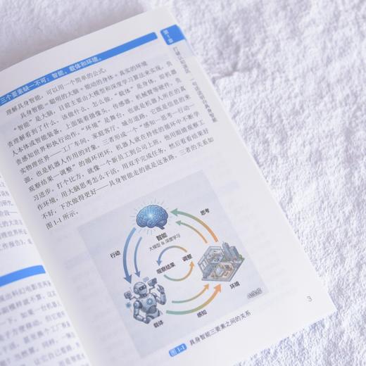 图解具身智能 机器人科普 人形机器人 具身智能科普 AI大模型 商品图4