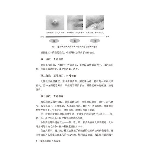 中医皮肤外科十大名方讲稿 李晓强 著 可供中医皮肤科 外科及相关专业医师和研究者 广大中医爱好者参阅 中国医药科技出版社 商品图4