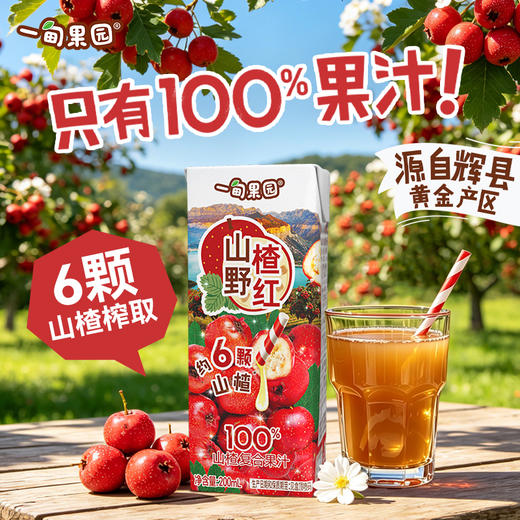 【清凉一夏】【一甸园子品牌】一甸果园 果汁系列 200ml*10 商品图10
