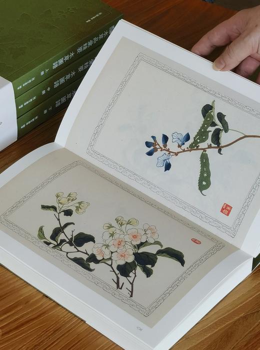 【重磅推荐】流观丛刊三种：《十竹斋笺谱初集》《百花诗笺谱 金鱼图谱》《本草品汇精要  本草笺谱》，大16开平装，[明]胡正言等编，浙江古籍出版社2026年8月一版一印，分别定价：168、228、528 商品图8