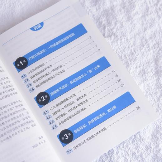 图解具身智能 机器人科普 人形机器人 具身智能科普 AI大模型 商品图2