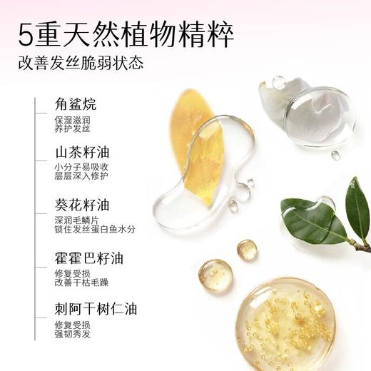 【入会享折扣💥】【双11抢先购】【修护防断发】【老客内购专属】半亩花田强韧修护蛋白霜 发膜200g罐装 修护干枯减断发矫正 商品图3