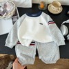 【39.9元/套起】儿童卫衣卫裤套装婴幼儿秋季男童女童休闲套装★爱宝好物 商品缩略图1