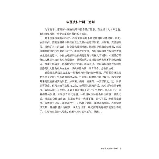 中医皮肤外科十大名方讲稿 李晓强 著 可供中医皮肤科 外科及相关专业医师和研究者 广大中医爱好者参阅 中国医药科技出版社 商品图2