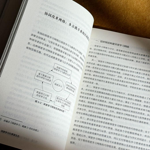 深度学习的课堂生态 成为“学”的专家 大夏书系 教师专业发展 商品图13