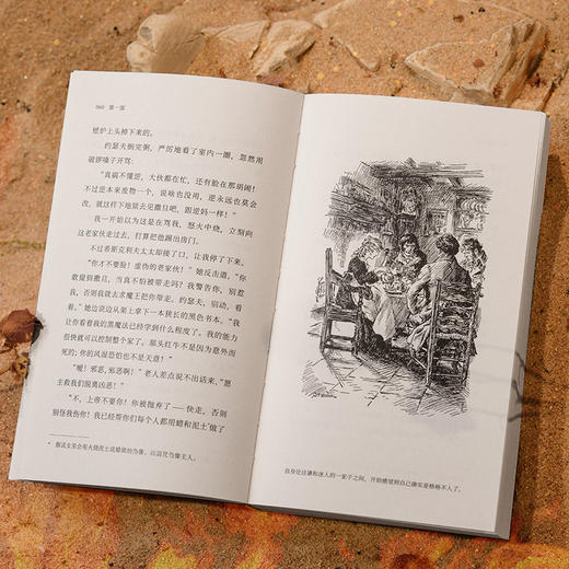 啸风山庄（插图袖珍本）全新译本 商品图8