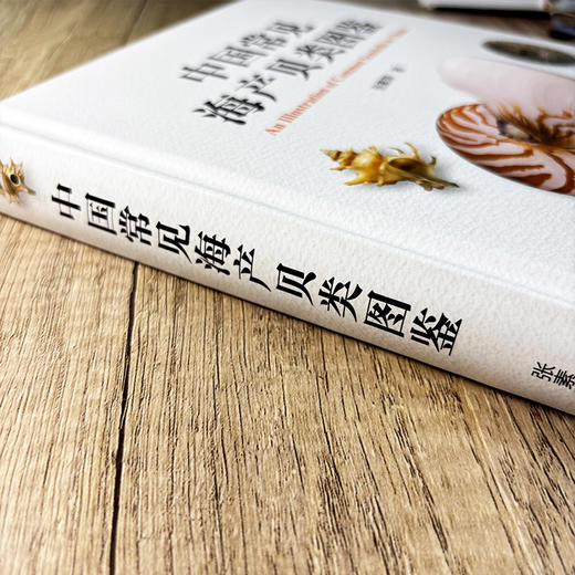 中国常见海产贝类图鉴 张素萍 9787030851055 商品图1