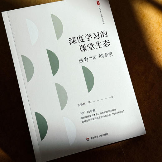 深度学习的课堂生态 成为“学”的专家 大夏书系 教师专业发展 商品图4