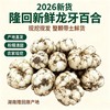 湖南隆回·鲜龙牙百合｜“南方人参”！清润滋养，粉糯清香，秋天要多吃 商品缩略图0