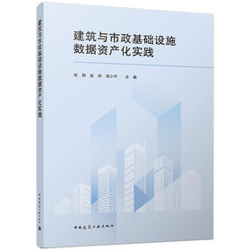 建筑与市政基础设施数据资产化实践