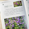 北京密云水库植物图鉴 张清靖等 9787030859617 商品缩略图3