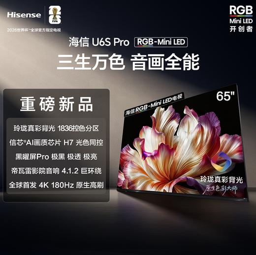 海信 电视机 65U6S-PRO 65寸液晶彩电 RGB‑Mini‑LED 4K超高清 光色同控 黑曜屏Pro 180Hz原生高刷 4+64GB 一级能效 杜比视界 杜比全景声 信芯AI画质芯片 商品图0