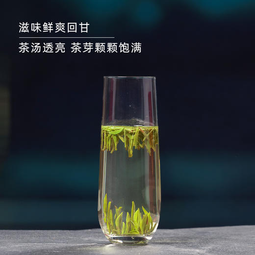 【2026春茶】东裕茗茶 秦岭高山精品仙毫50克磨砂罐装 商品图3