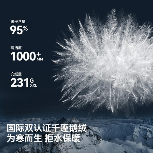 【极峰】伯希和户外羽绒服男2026冬新款1000蓬鹅绒女加厚保暖外套 商品图2