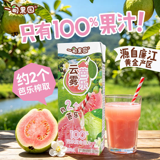 【清凉一夏】【一甸园子品牌】一甸果园 果汁系列 200ml*10 商品图1