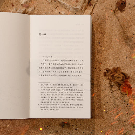 啸风山庄（插图袖珍本）全新译本 商品图9