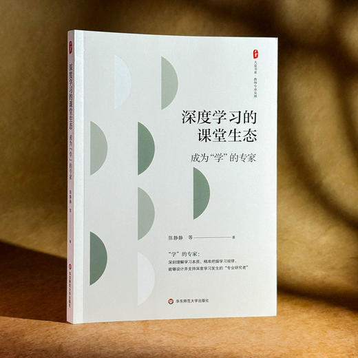 深度学习的课堂生态 成为“学”的专家 大夏书系 教师专业发展 商品图3