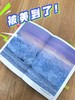 【10岁+】《去北极！看那只敲窗的熊》（彭懿亲签+盖纪念印章） 商品缩略图3
