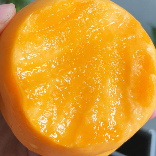 【顺丰快递】辽宁大连芒果油桃 香甜多蜜汁 软硬两吃 商品图2