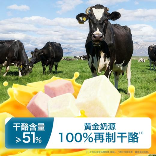 MM 山姆 禾泱泱（Rivsea）奶酪园块 原味（4g*11）+草莓味（4g*11） 商品图1