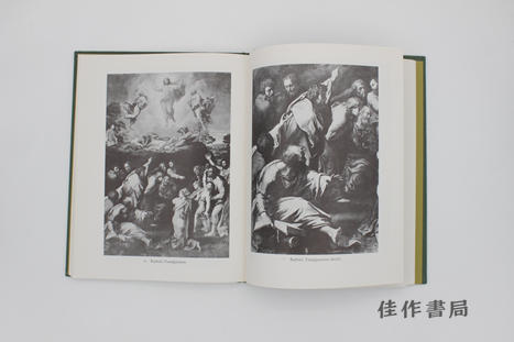 【绝版旧书】Leonardo and Central Italian Art 1515-1550 / 莱昂纳多与中部意大利艺术（1515-1550） 商品图3