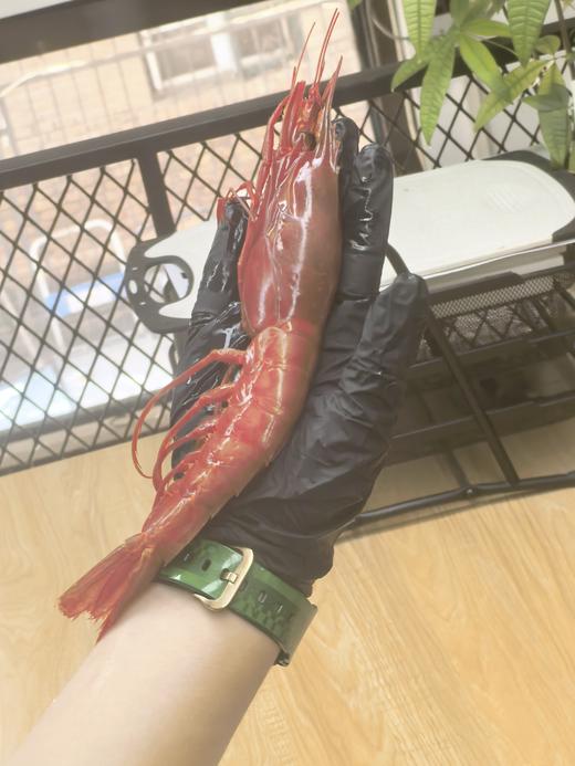 大西洋冷冻红魔虾 商品图3