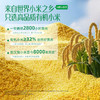 MM 山姆 英式有机无麸质小米软米饼 原味（2g*96袋） 商品缩略图2