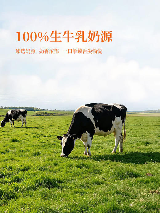 MM 山姆 小鲜语 小鲜语生牛乳柚子奶 250ml*4/8 商品图3