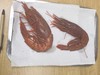 大西洋冷冻红魔虾 商品缩略图2