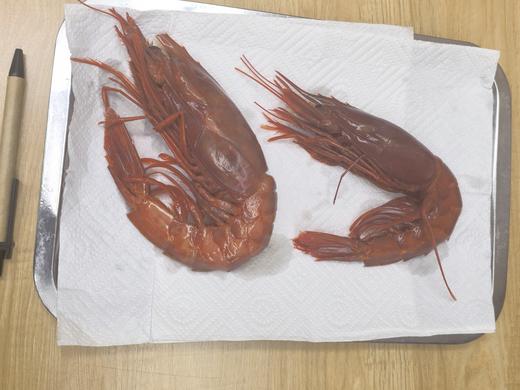 大西洋冷冻红魔虾 商品图2