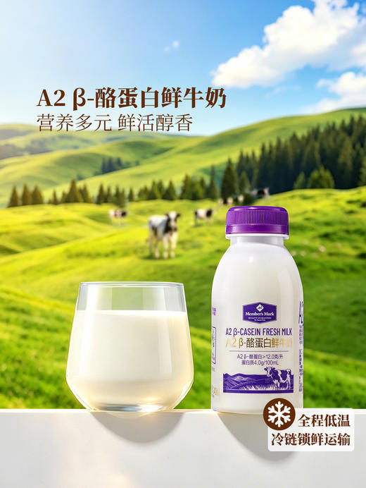 MM 山姆 Member's Mark A2β-酪蛋白鲜牛奶 240ml*4/8 商品图1