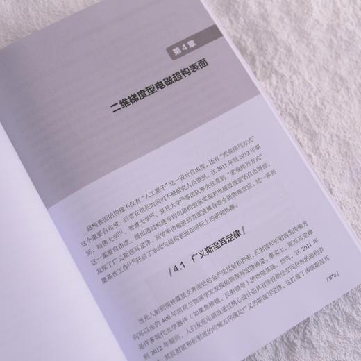 新型微纳光电子材料与器件 *构材料与二维材料 商品图3