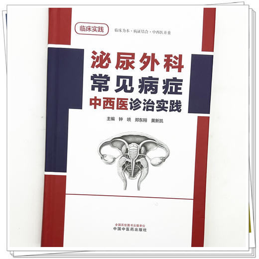 泌尿外科常见病症中西医诊治实践 钟喨 郑东翔 黄新凯 主编 中国中医药出版社 商品图3