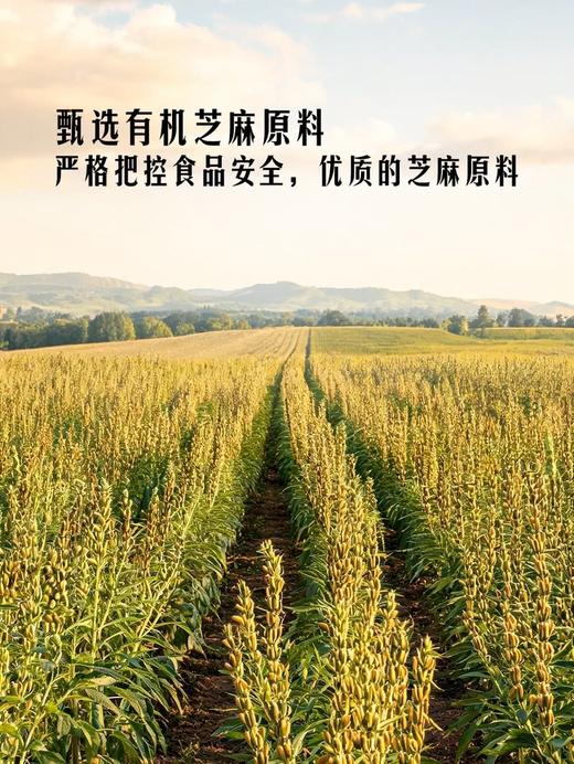 MM 山姆 有机深焙浓香芝麻酱 240g*3 商品图2