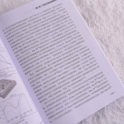 新型微纳光电子材料与器件 *构材料与二维材料 商品图4