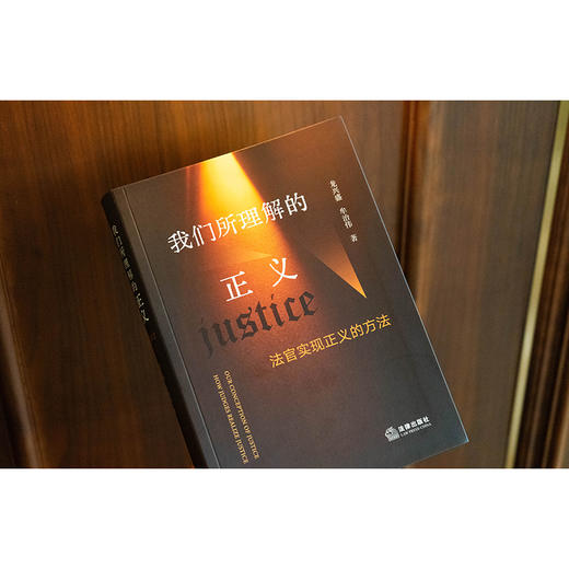 我们所理解的正义：法官实现正义的方法    龙兴盛 牟治伟 著   法律出版社 商品图2