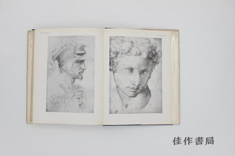 【绝版旧书】Italian Drawings in the Department of Prints and Drawings in the British Museum-Michelangelo a 商品图3