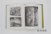 【绝版旧书】Leonardo and Central Italian Art 1515-1550 / 莱昂纳多与中部意大利艺术（1515-1550） 商品缩略图2