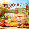 【清凉一夏】【一甸园子品牌】一甸果园 果汁系列 200ml*10 商品缩略图0
