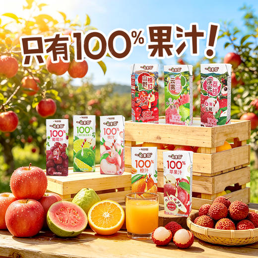 【清凉一夏】【一甸园子品牌】一甸果园 果汁系列 200ml*10 商品图0