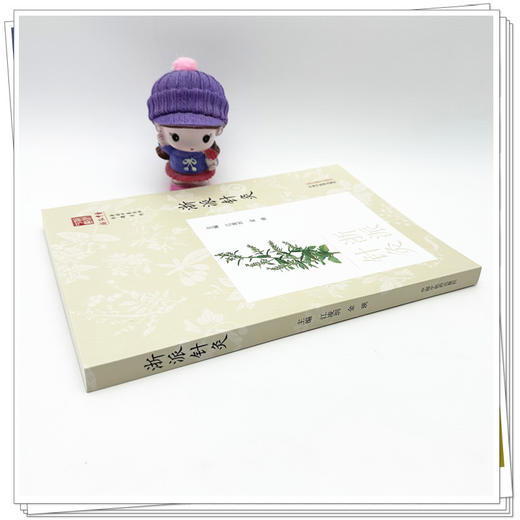 浙派针灸（《浙派中医丛书》专题系列）江凌圳 金瑛 主编 中国中医药出版社 商品图2