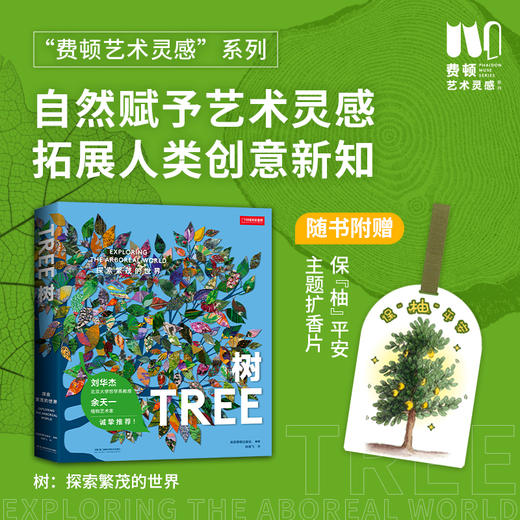 费顿艺术灵感画册：树：探索繁茂的世界，300余件作品感受树木之美 一本关于树的纸上博物馆 艺术画册 商品图0