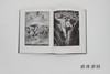 【绝版旧书】Raphael (2 vols) / 拉斐尔 商品缩略图3