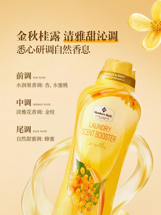 MM 山姆 Member's Mark 衣物留香珠（金秋桂露）1.5kg 商品图6