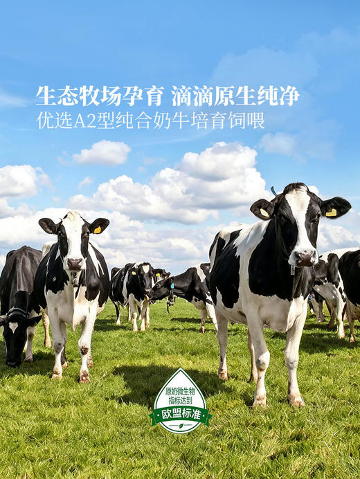 MM 山姆 Member's Mark A2β-酪蛋白鲜牛奶 240ml*4/8 商品图3