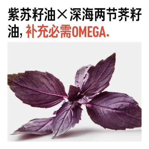 毕生之研 厚脸皮屏障修护盈润霜 50g（2.0版本） 送 3.0厚脸皮水15ml 商品图4
