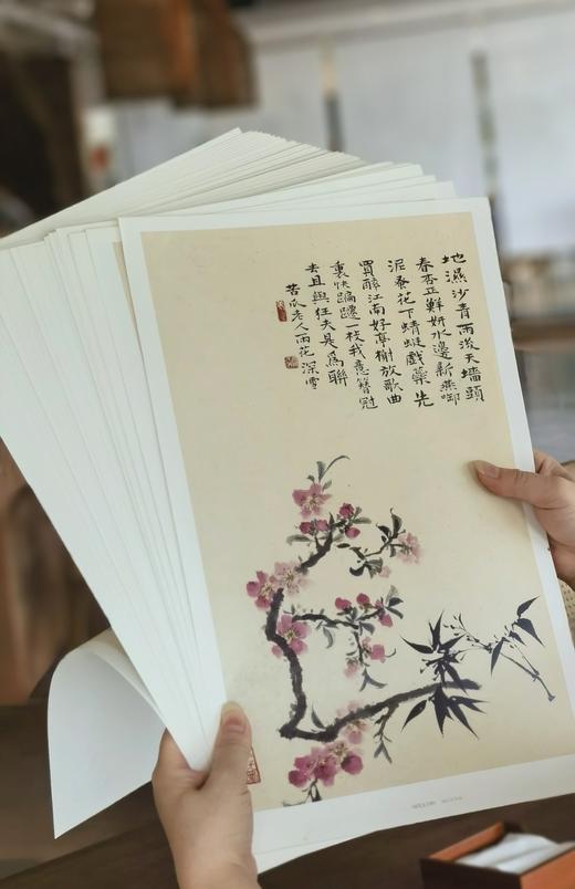 【超值性价比】《大师册页：石涛》，8开，一函散页装，供40幅，今日美术馆编，四川美术出版社2013年一版一印，定价68，售价26元。 商品图3