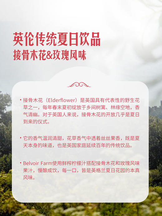 MM 山姆 英国进口 接骨木花玫瑰花风味汽水 275ml*6/12瓶 商品图3