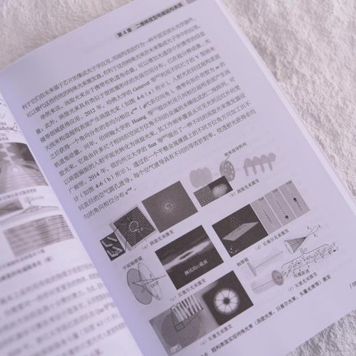 新型微纳光电子材料与器件 *构材料与二维材料 商品图2