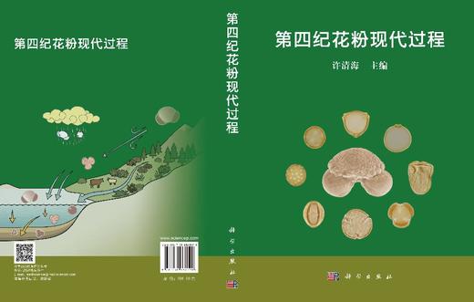 第四纪花粉现代过程 许清海 9787030862020 商品图3